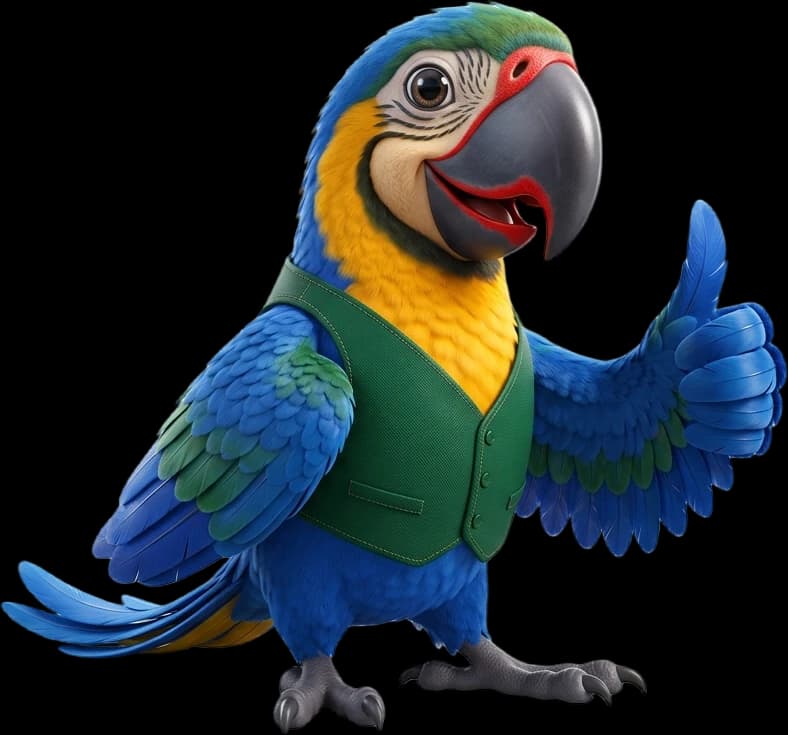 AliExpress Brasil Newsletter
